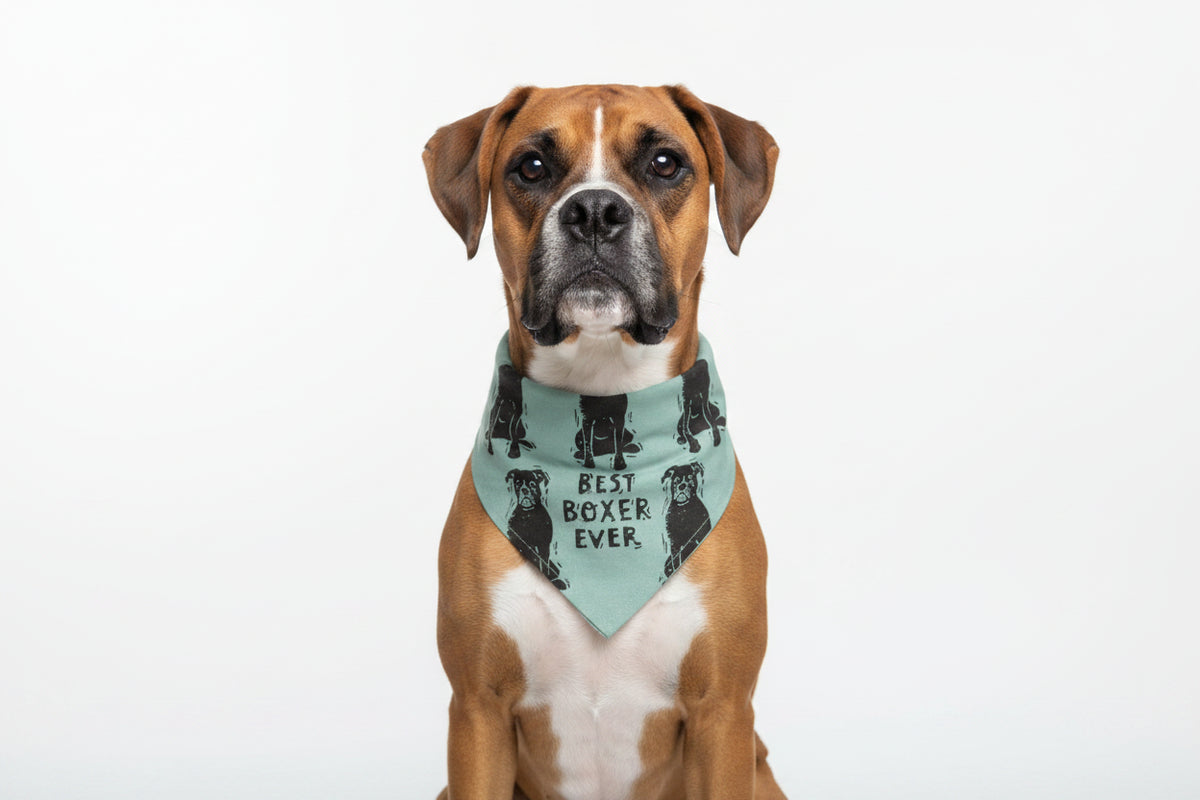 Boxer/Love My Human Large Pet Bandana