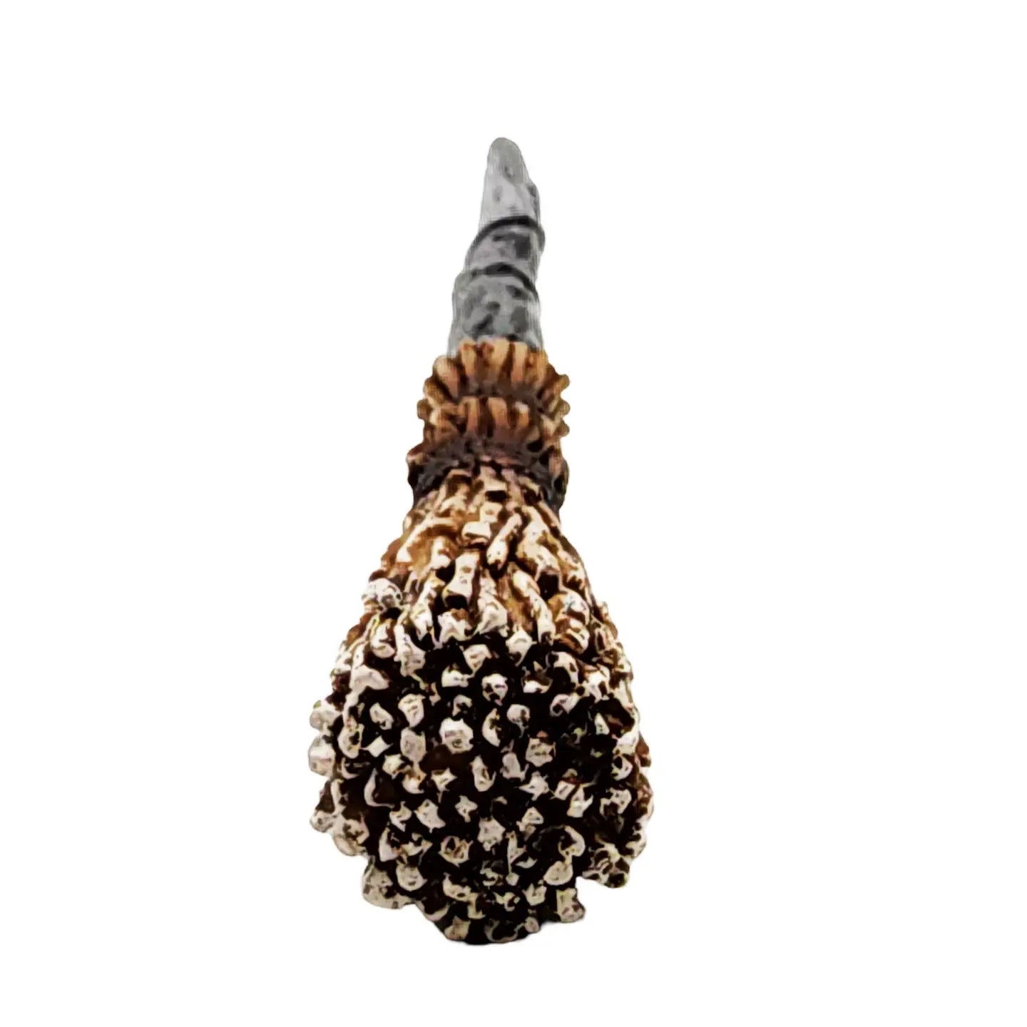 Broom Magic Wand