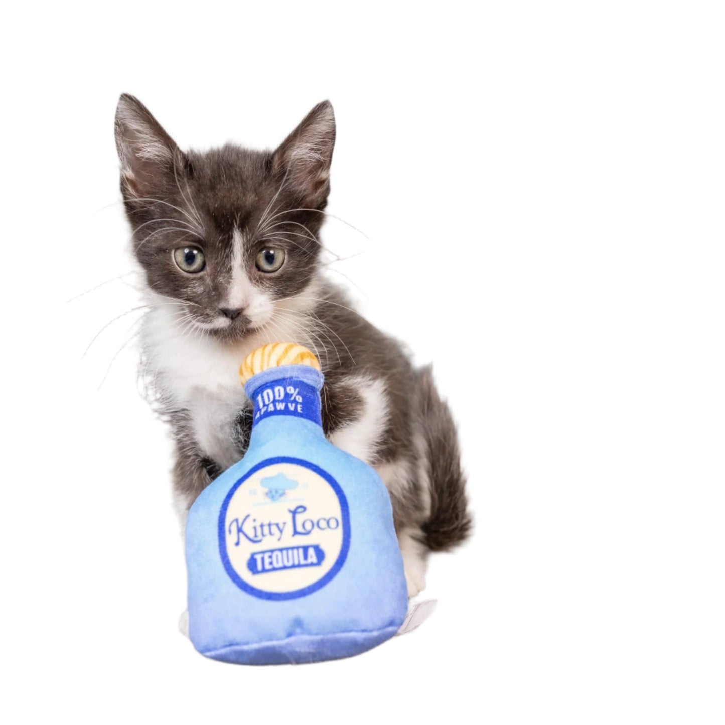 Kitty Loco Tequila Cat Toy