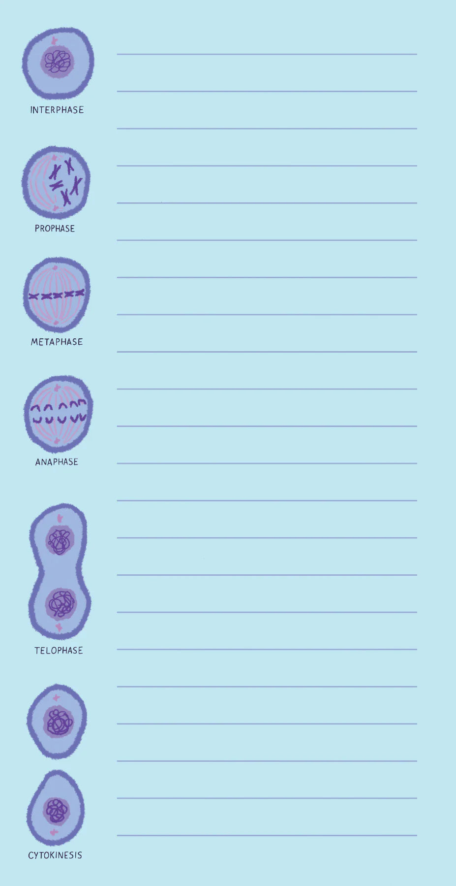 Microbiology Notepad