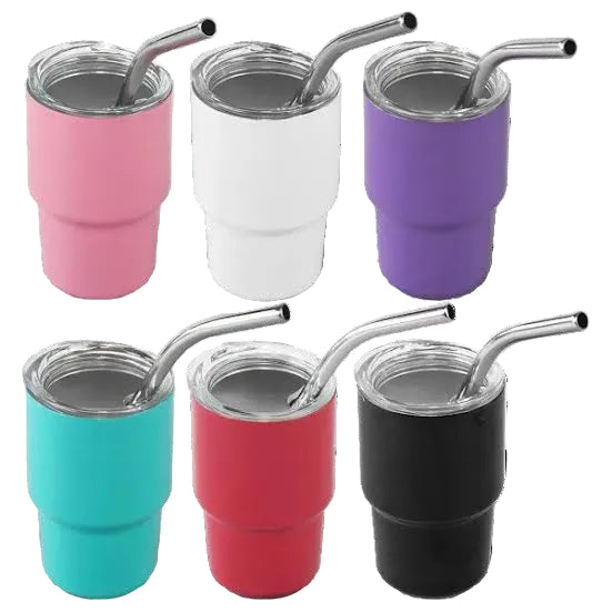 Mini Tumbler with Stainless Steel Straw