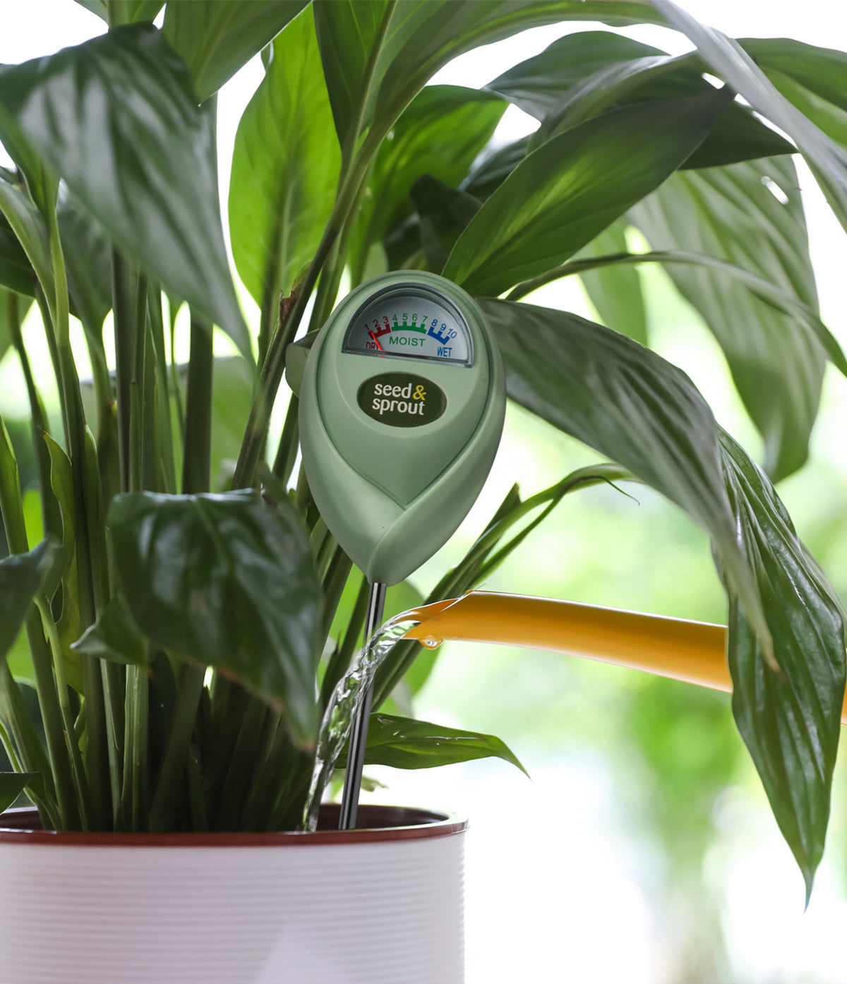 Seed & Sprout Potted Plant Moisture Meter