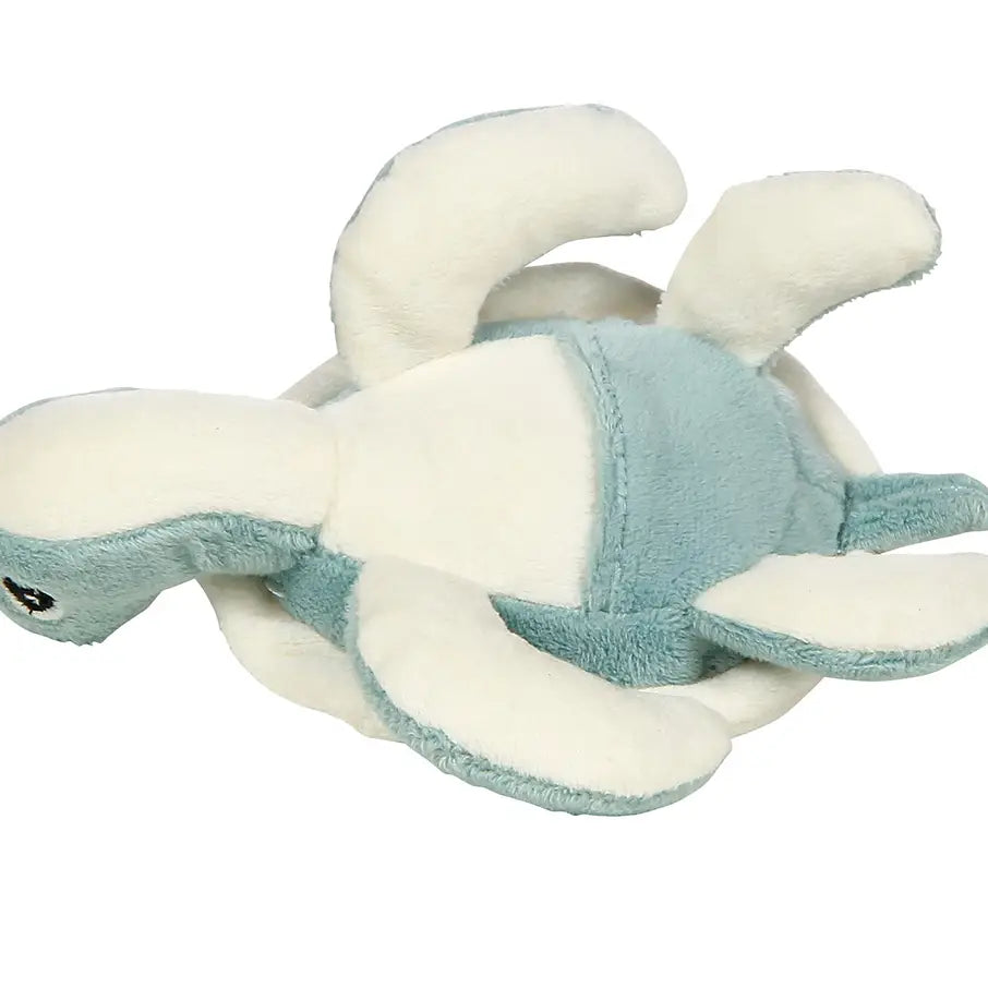 Scooter the Sea Turtle Tooth Fairy