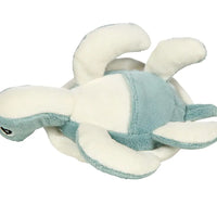 Scooter the Sea Turtle Tooth Fairy