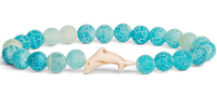 Fahlo Dolphin Tracking Bracelets