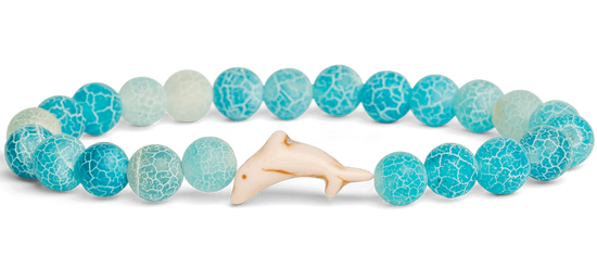 Fahlo Dolphin Tracking Bracelets