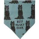 Husky/Love My Human Large Pet Bandana