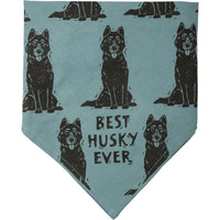 Husky/Love My Human Large Pet Bandana