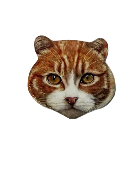 Cat Face Coasters