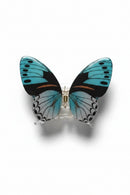 Butterfly Hair Clips