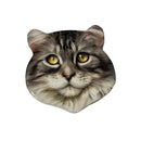 Cat Face Coasters