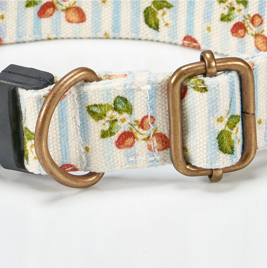 Strawberry Dog Collar