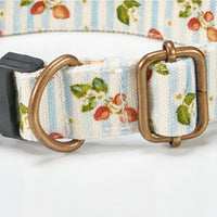 Strawberry Dog Collar