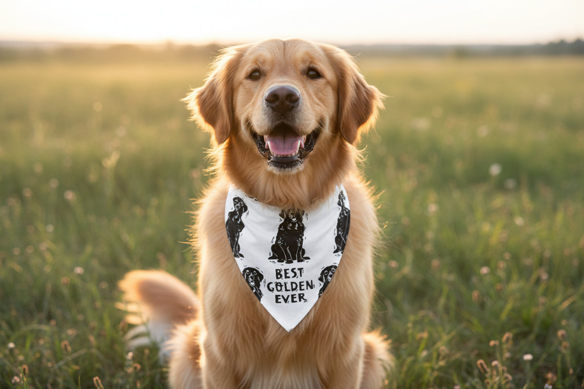 Golden/Love My Human Large Pet Bandana