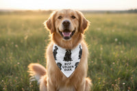 Golden/Love My Human Large Pet Bandana