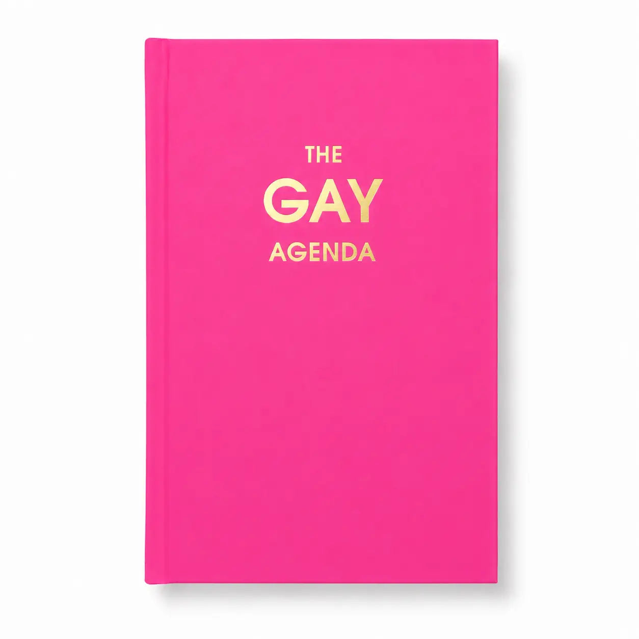 The Gay Agenda – Neon Rose Hardcover Journal
