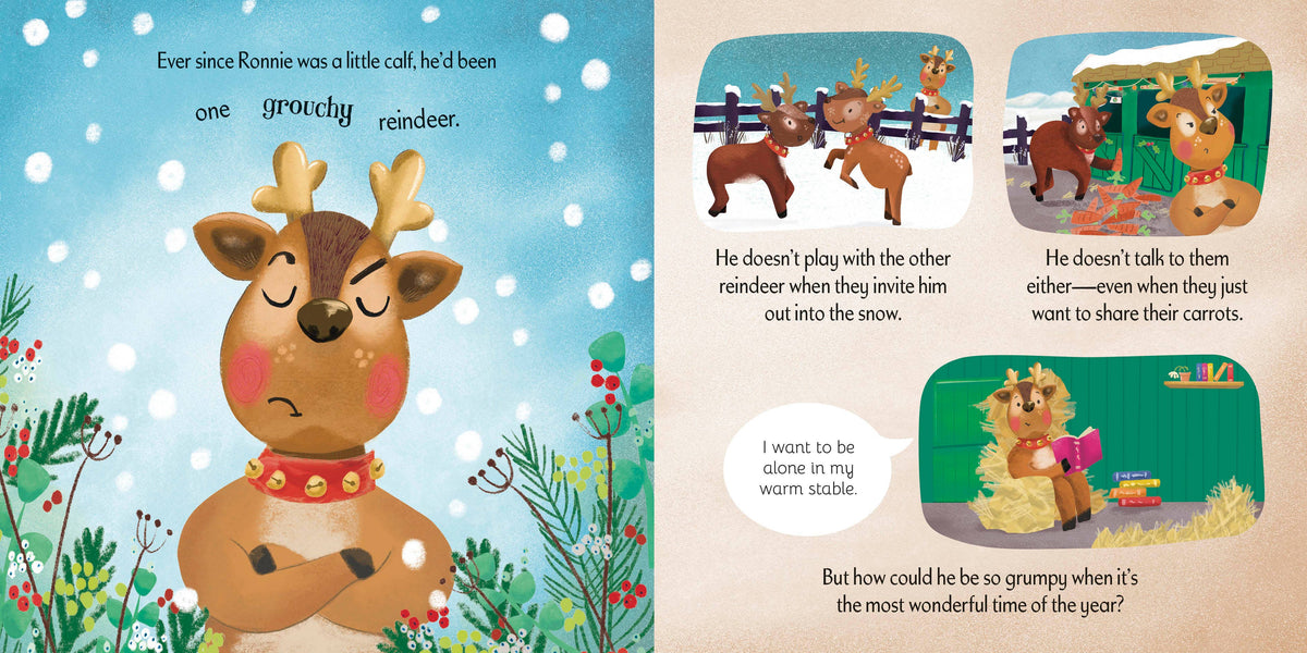 The Grumpy Reindeer Book