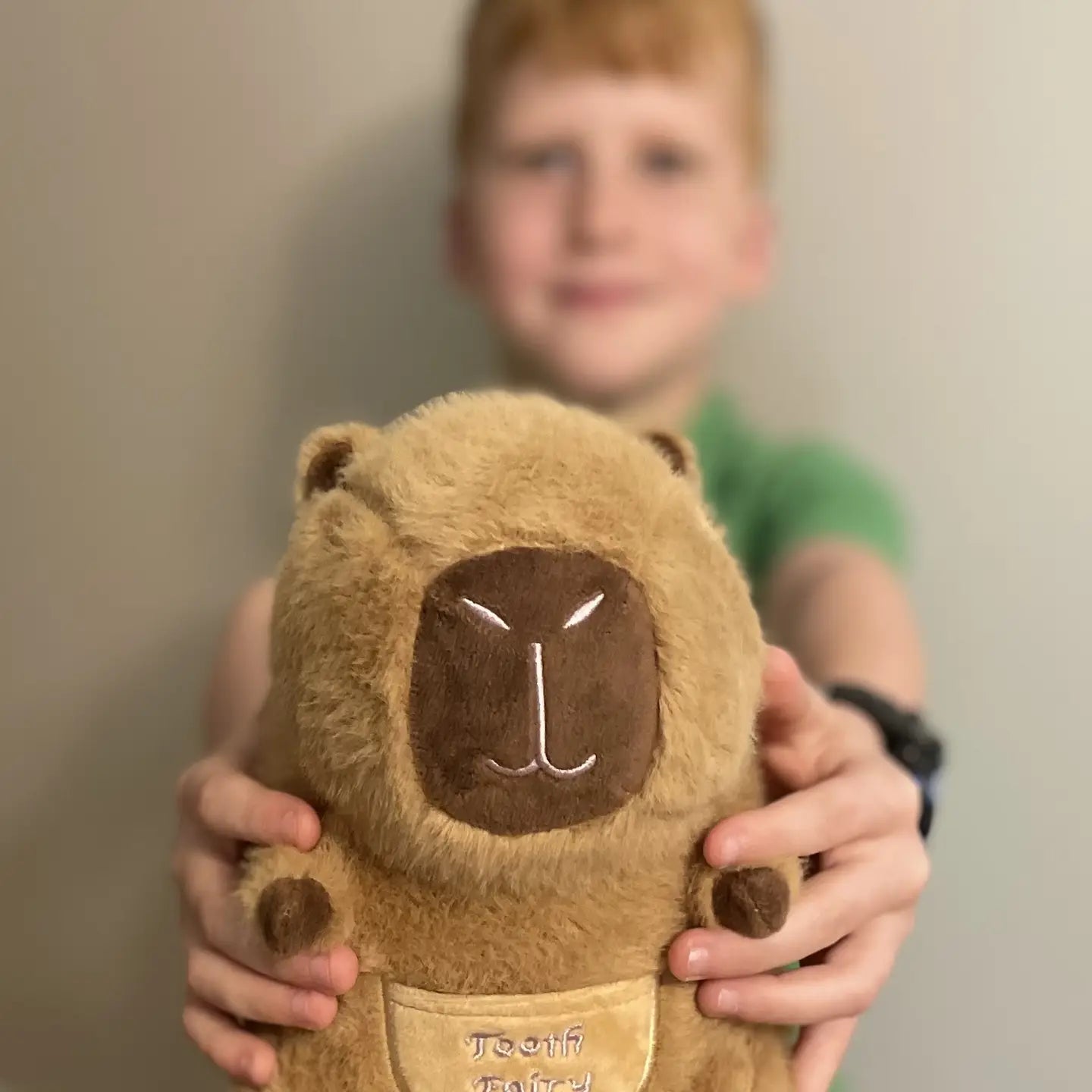 Barry the Capybara Tooth Fairy