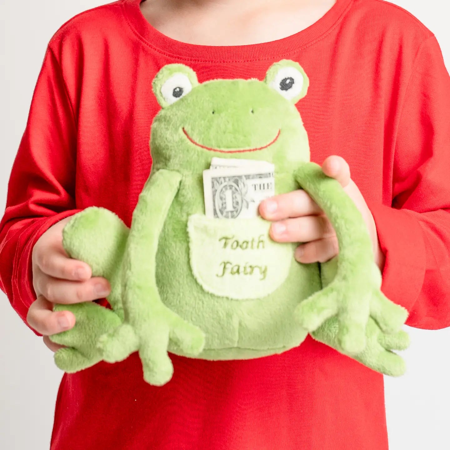Freckles the frog Tooth Fairy Pillow