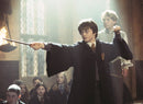 Harry Potter Spell Magic Card Game & Book