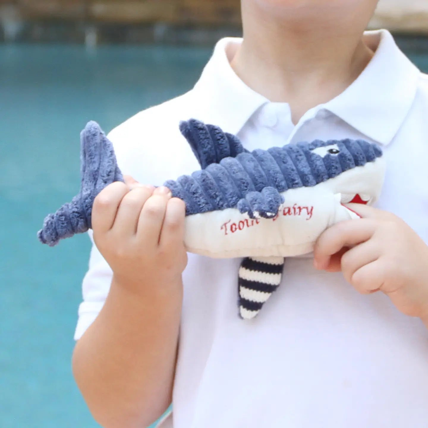 Bruce the Shark Tooth Fairy