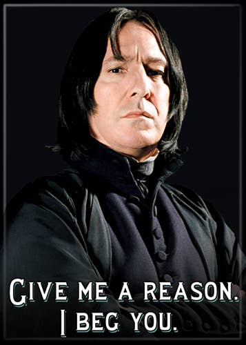 Harry Potter Snape I Beg You Magnet