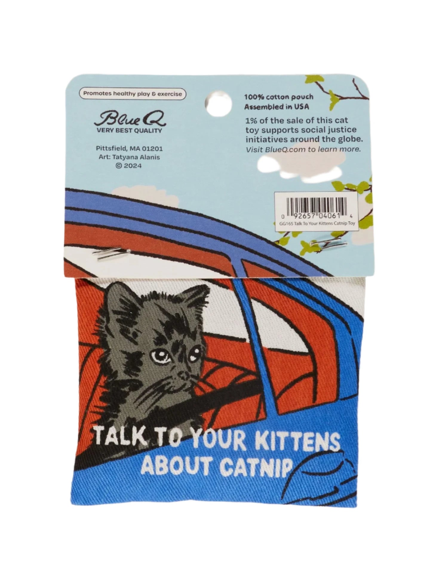 Talk To Your Kittens About Catnip Toy