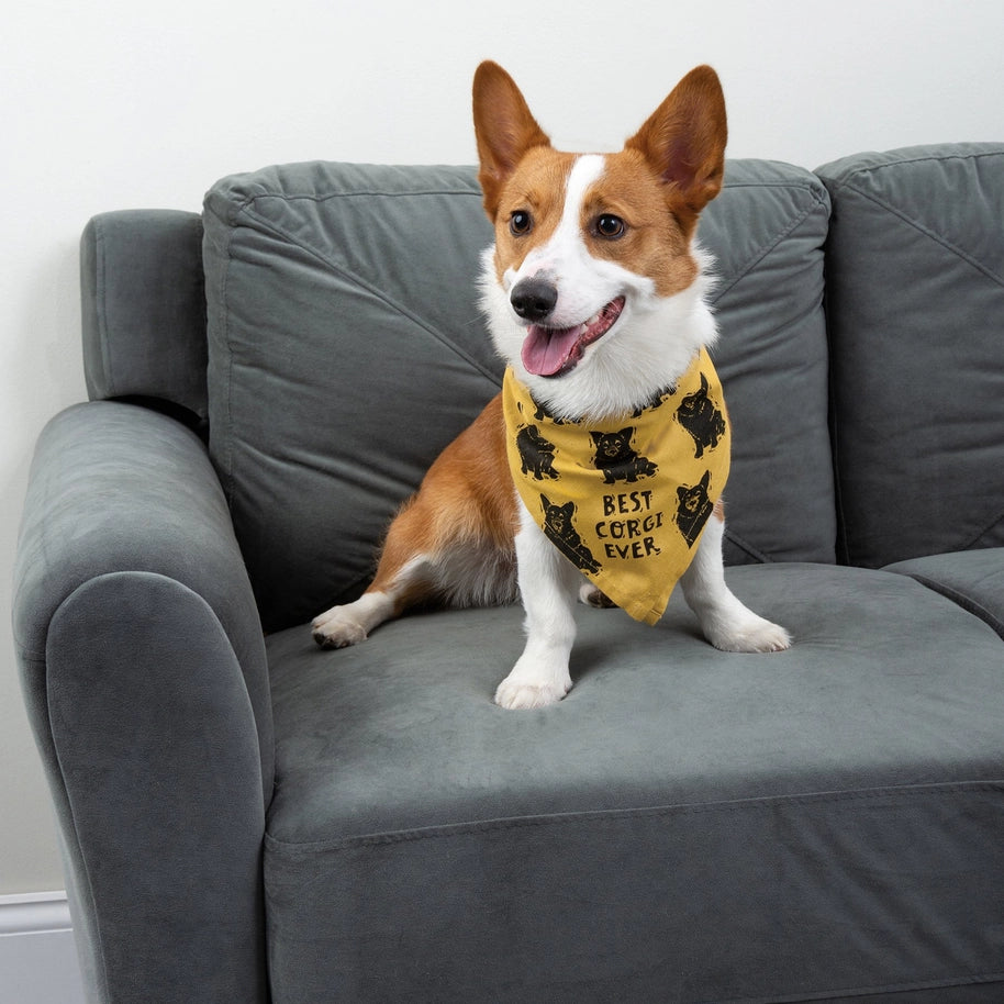 Corgi/Love My Human Small Pet Bandana