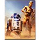 Star Wars C-3P0 & R2D2 Tin Sign