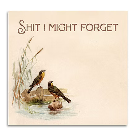 Shit I Might Forget Sticky Note Pad
