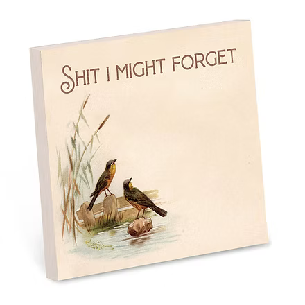 Shit I Might Forget Sticky Note Pad