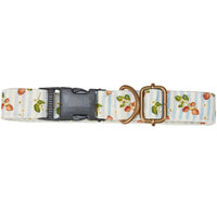 Strawberry Dog Collar