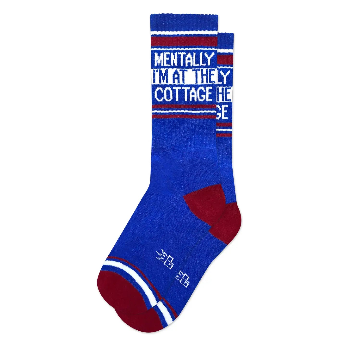 Mentally I'm At the Cottage Socks