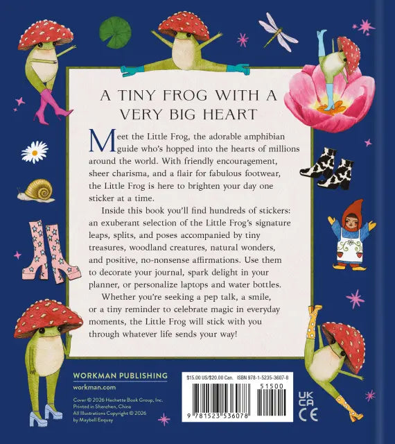 The Little Frog Sticker Book