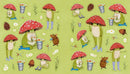 The Little Frog Sticker Book