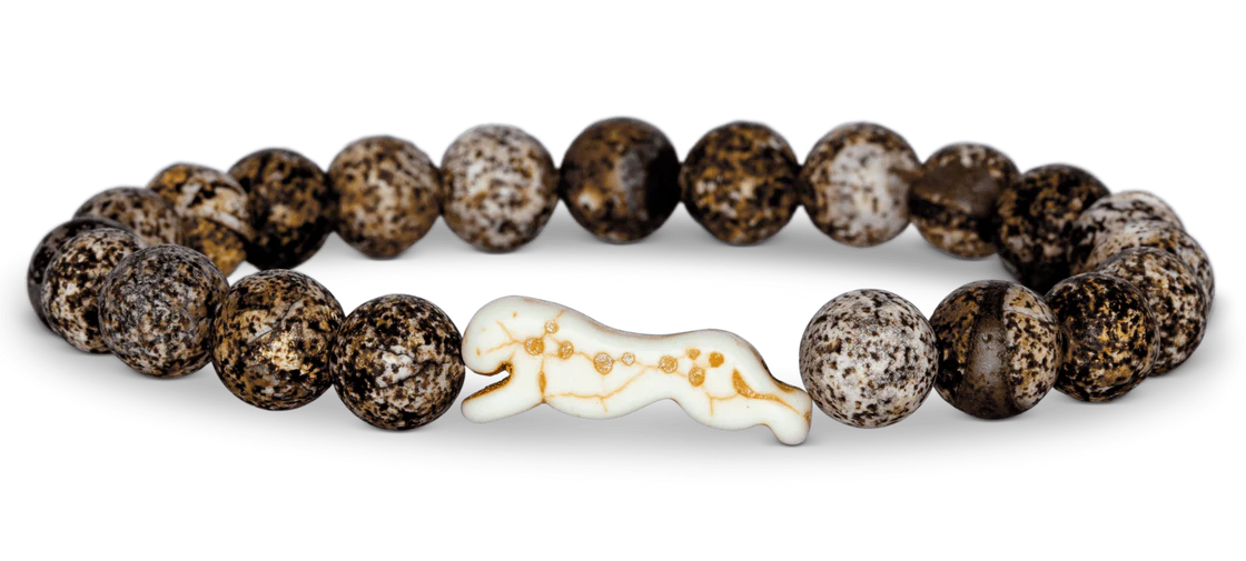Fahlo Cheetah Tracking Bracelets