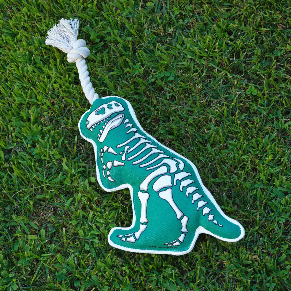 Rope Dog Toy T-Rex