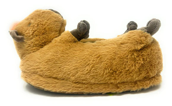 Capybara Hugs Slippers