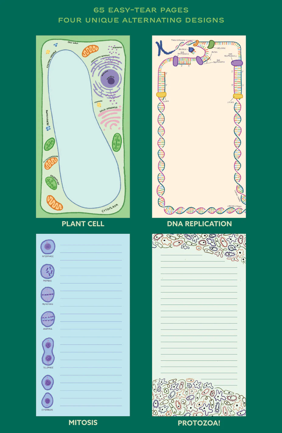 Microbiology Notepad