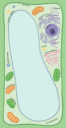 Microbiology Notepad