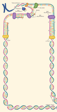 Microbiology Notepad