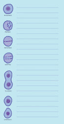 Microbiology Notepad