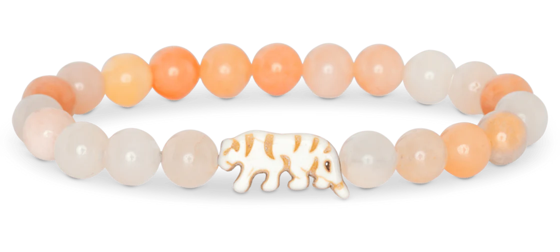 Fahlo Tiger Tracking Bracelets