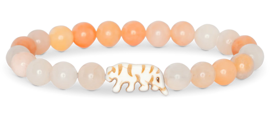 Fahlo Tiger Tracking Bracelets