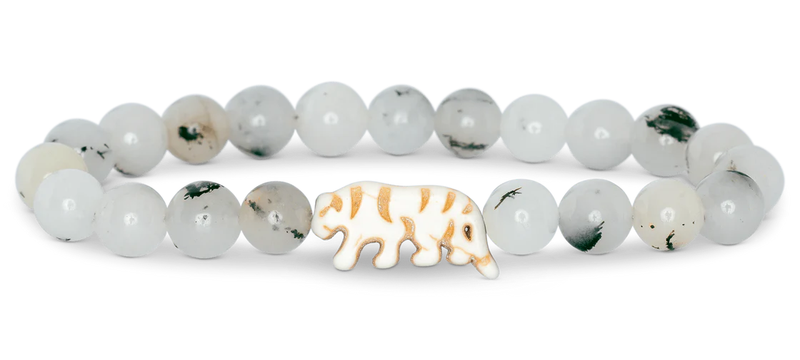 Fahlo Tiger Tracking Bracelets