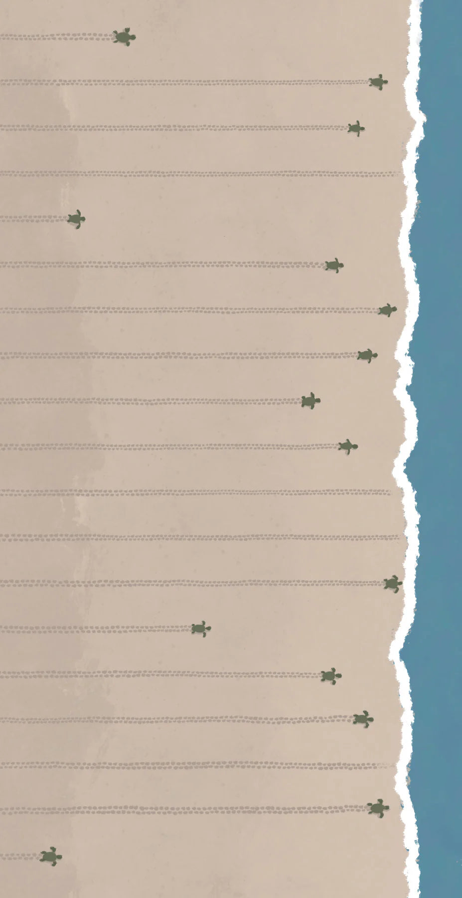 Sea Life Notepad