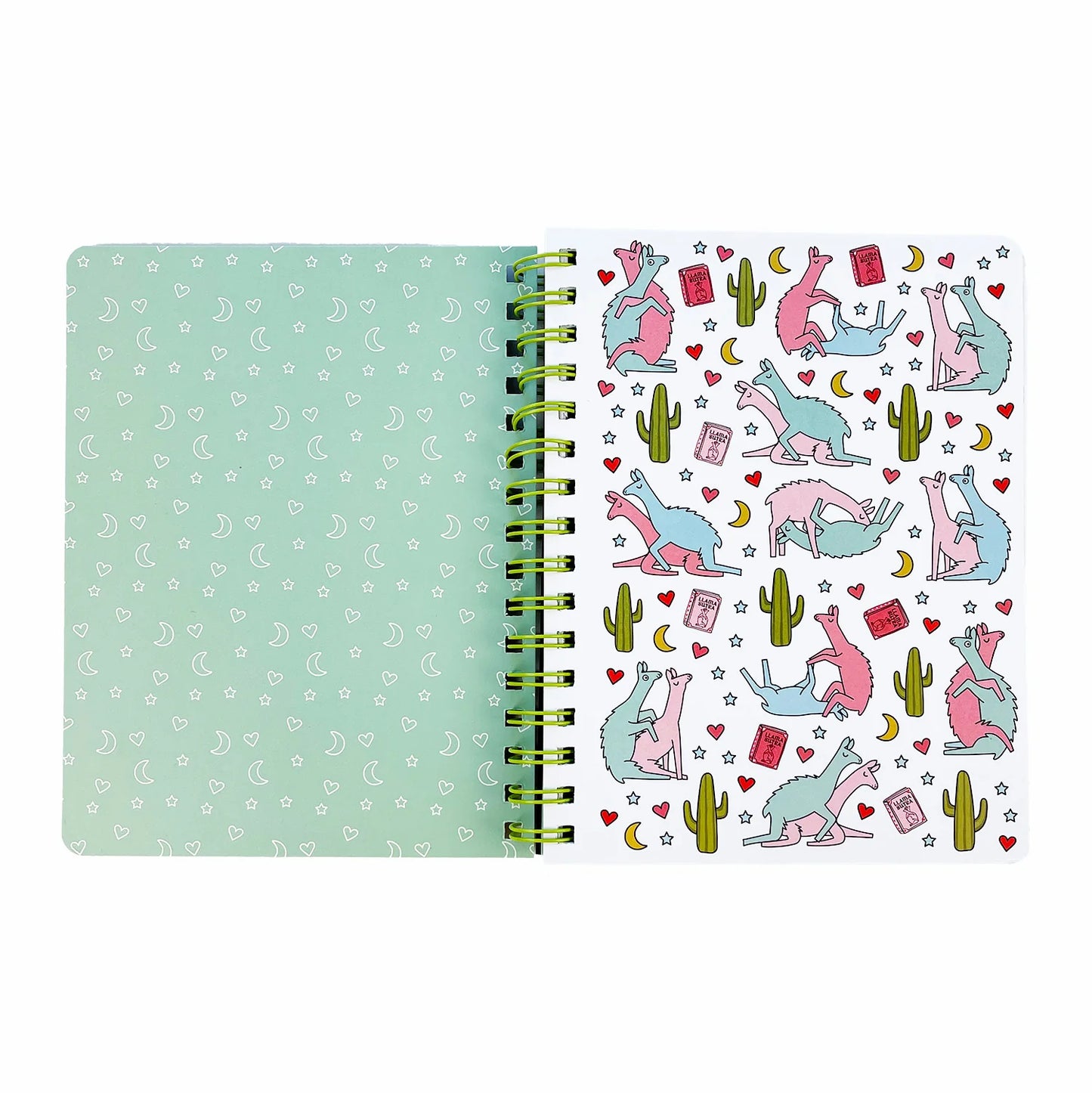 Llama Sutra Notebook