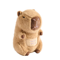Barry the Capybara Tooth Fairy