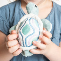 Scooter the Sea Turtle Tooth Fairy