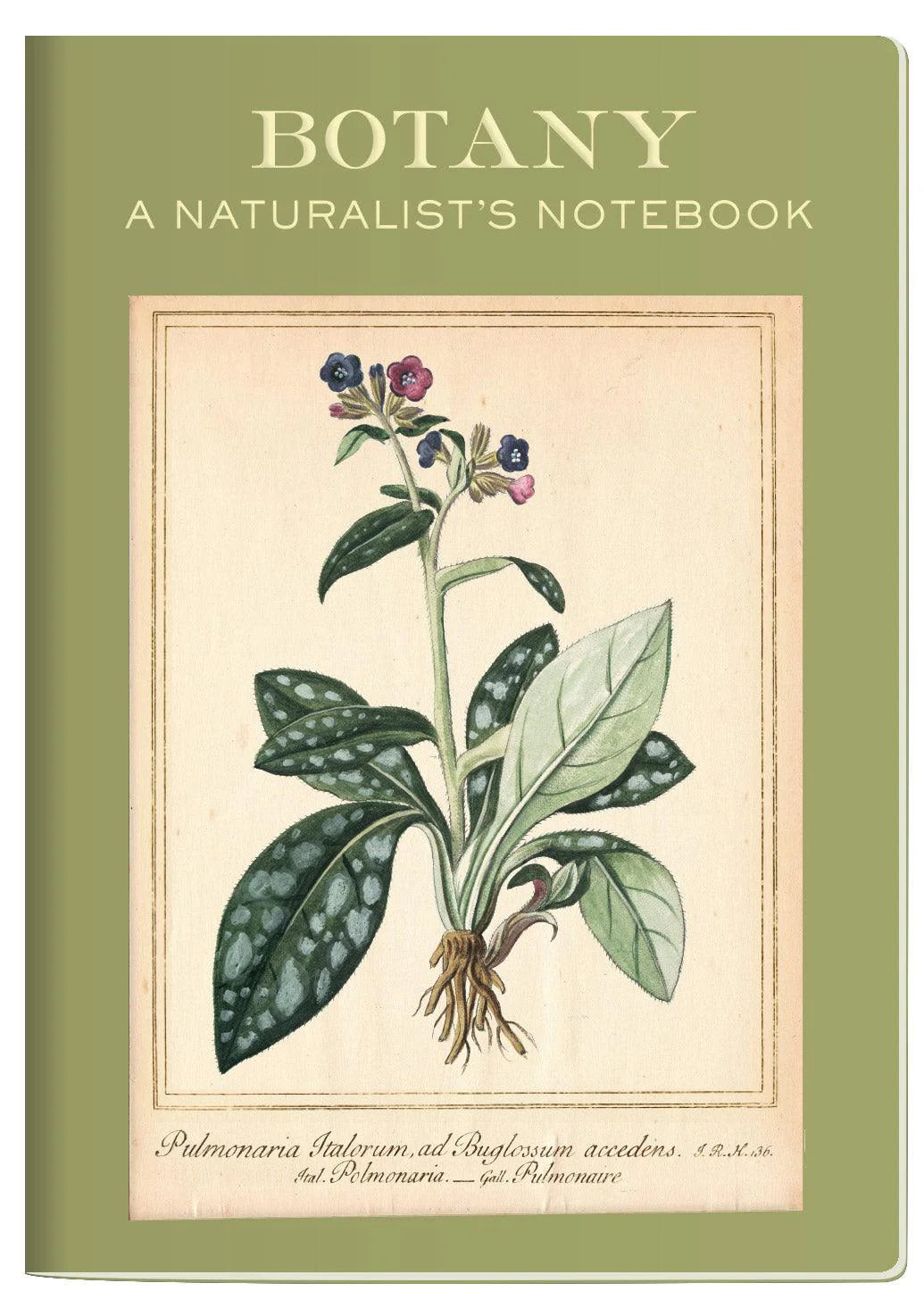 Botany Passport